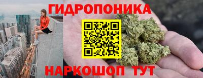 стафф Моздок