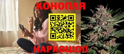стафф Моздок