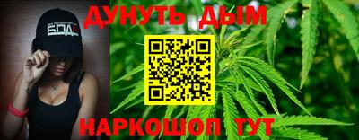 стафф Моздок