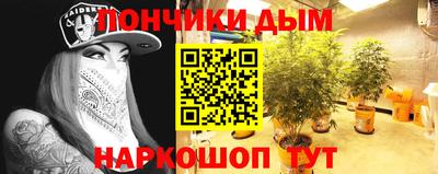 стафф Моздок