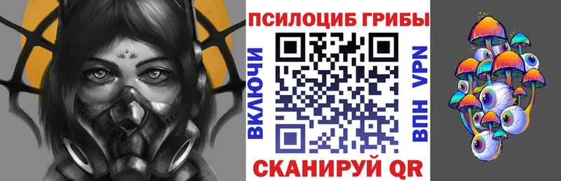 Псилоцибиновые грибы Psilocybine cubensis  цена   Усть-Джегута 